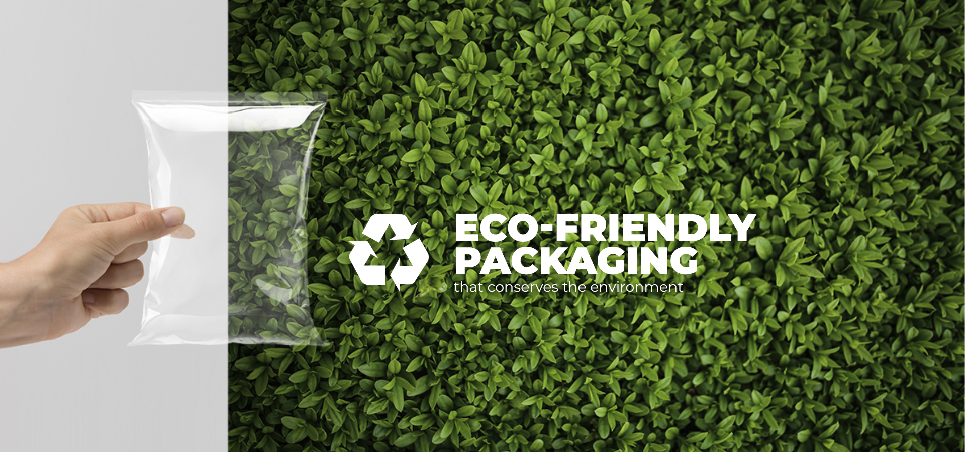 Eco Friendly Banner